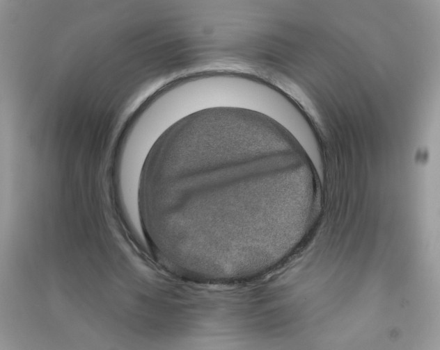 X0000090620436200708141416