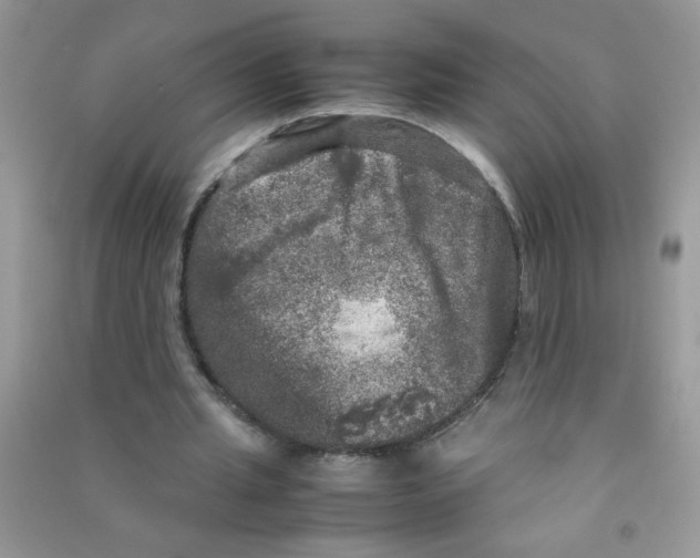 X0000090620437200708141416