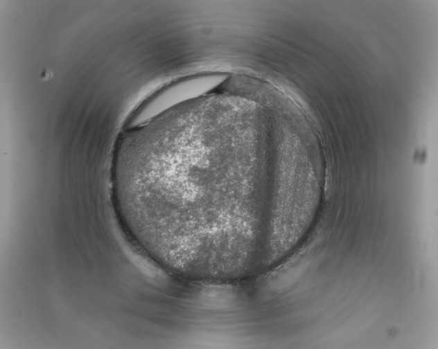 X0000090620438200708141416