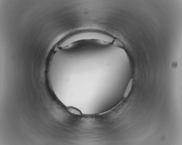 X0000090620440200708141416