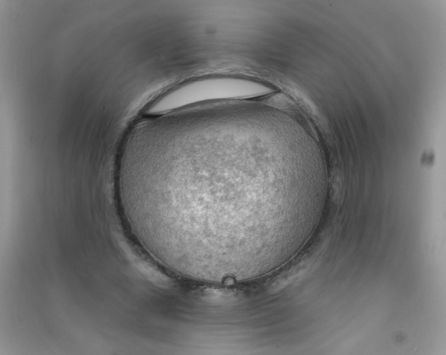 X0000090620442200708141416