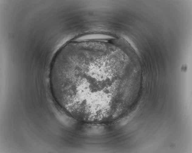 X0000090620443200708141416