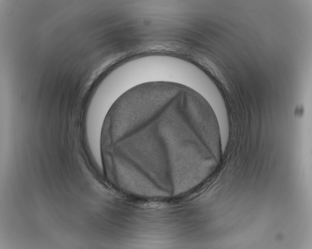 X0000090620444200708141416