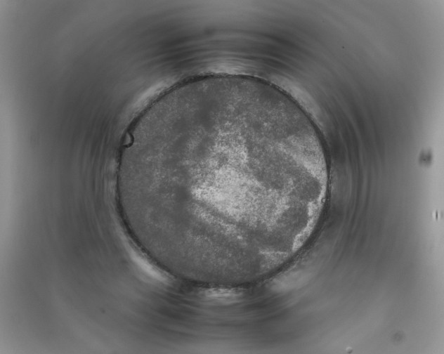 X0000090620445200708141416