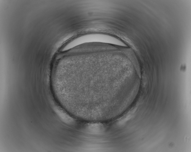 X0000090620446200708141416