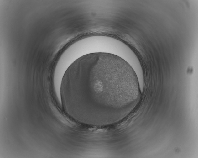 X0000090620448200708141416