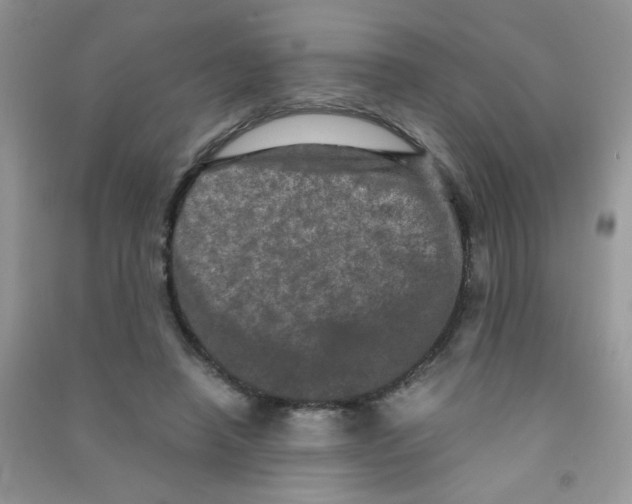 X0000090620450200708141416