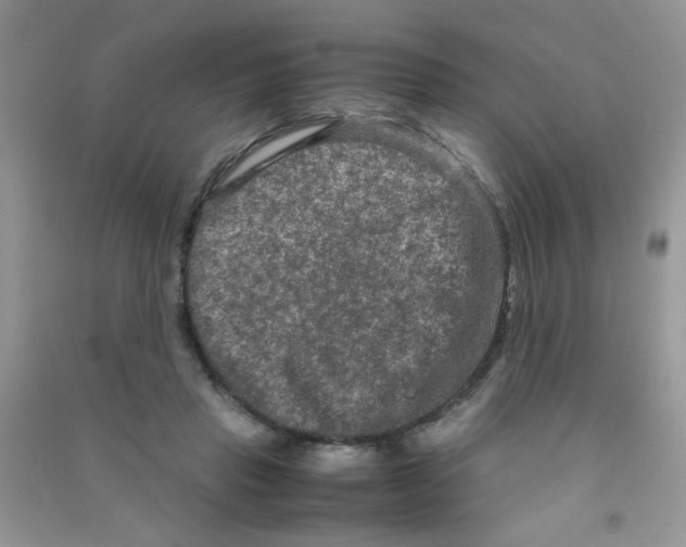 X0000090620453200708141416