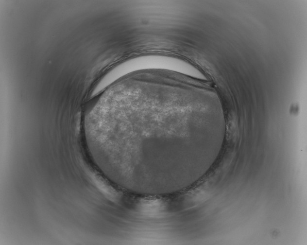 X0000090620454200708141416