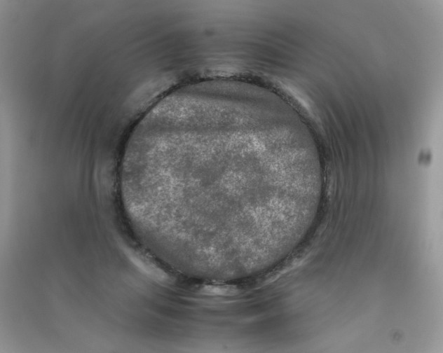 X0000090620455200708141416