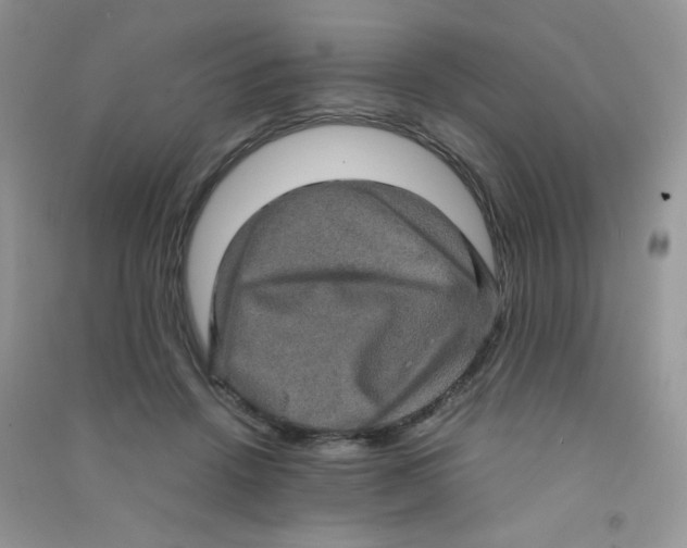 X0000090620456200708141416