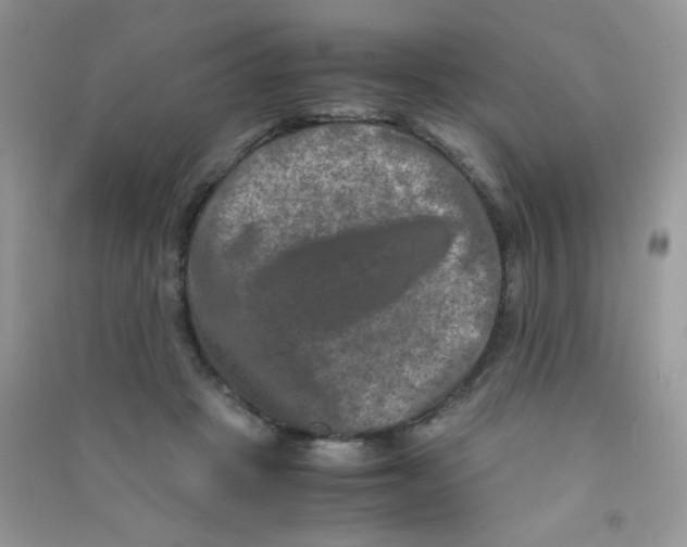 X0000090620457200708141416