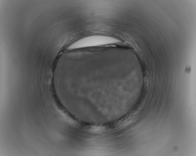 X0000090620458200708141417