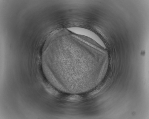 X0000090620459200708141417