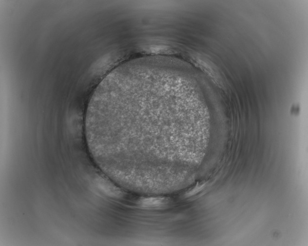 X0000090620461200708141417