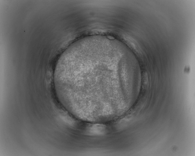 X0000090620463200708141417