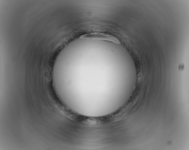 X0000090620464200708141417