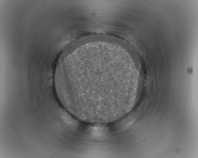 X0000090620466200708141417