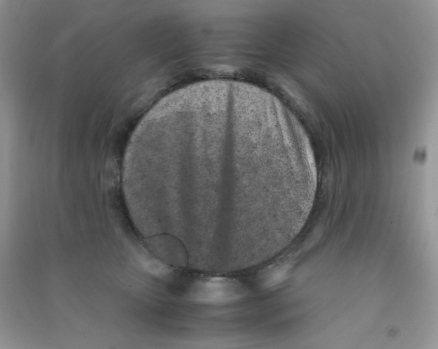 X0000090620467200708141417