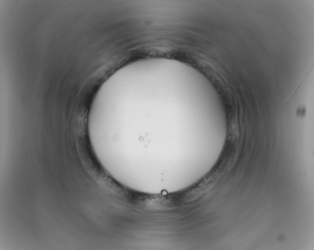 X0000090620468200708141417