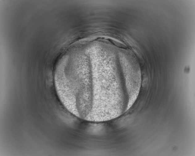 X0000090620469200708141417