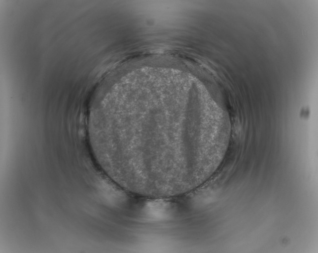 X0000090620470200708141417