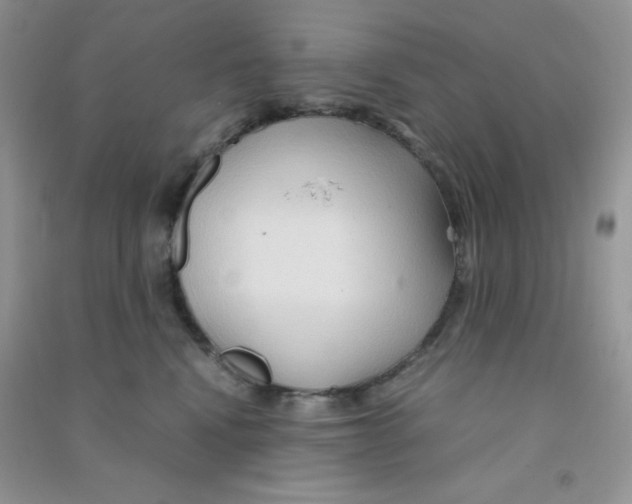 X0000090620472200708141417