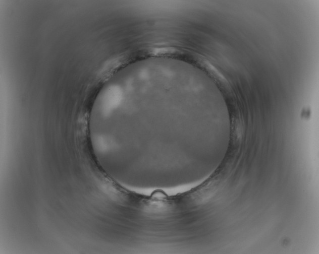 X0000090620475200708141417