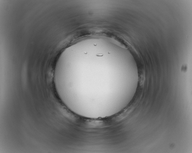 X0000090620476200708141417