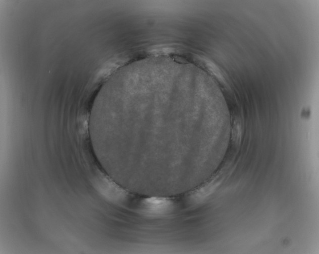 X0000090620477200708141417