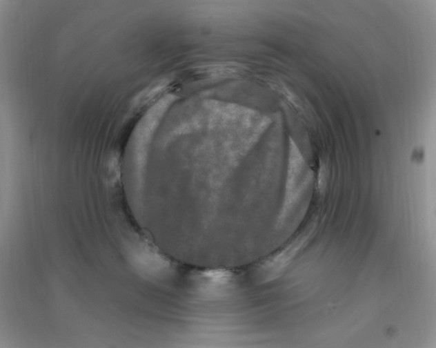 X0000090620478200708141417