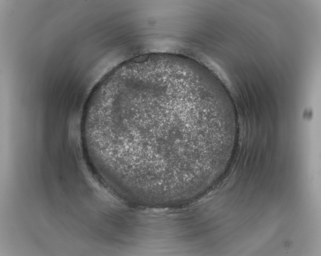 X0000090620482200708141416