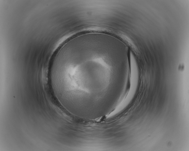 X0000090620484200708141416