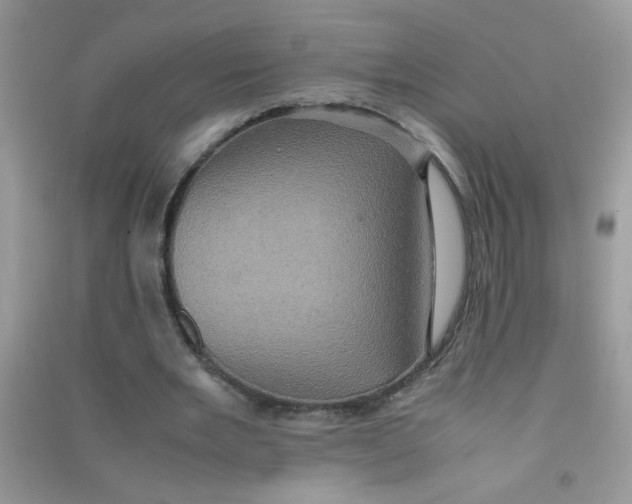 X0000090620485200708141416