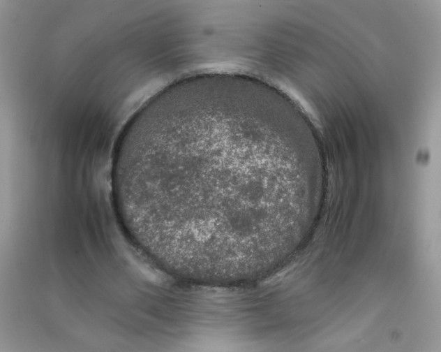 X0000090620486200708141416