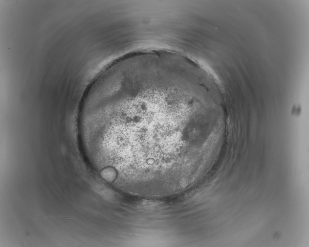 X0000090620487200708141416