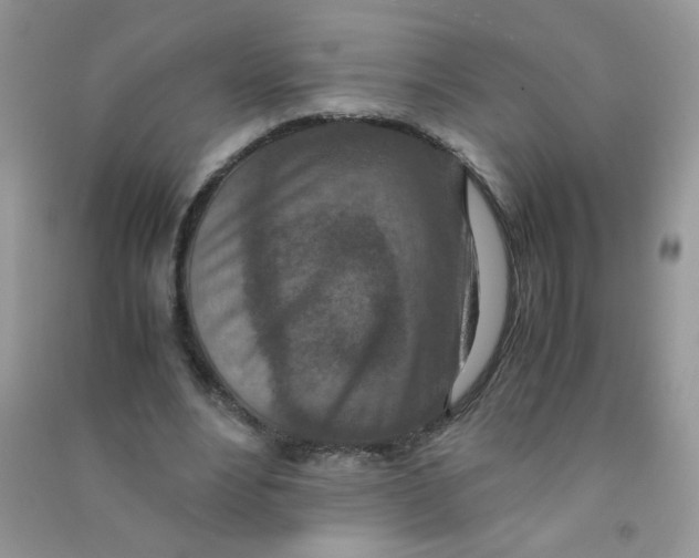 X0000090620488200708141416