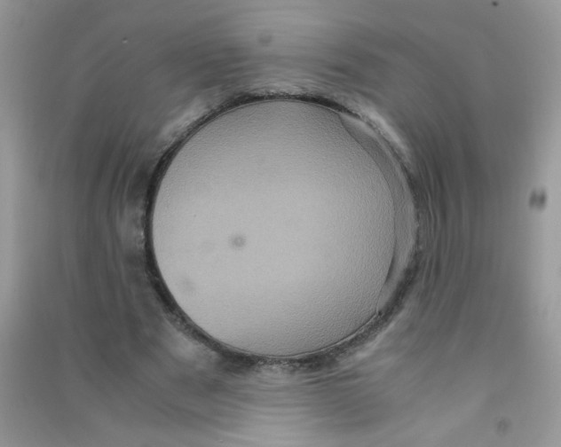 X0000090620489200708141416