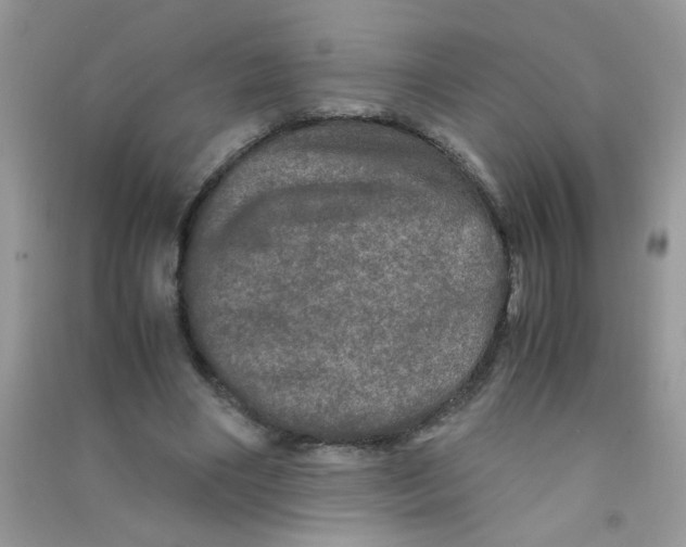 X0000090620490200708141416