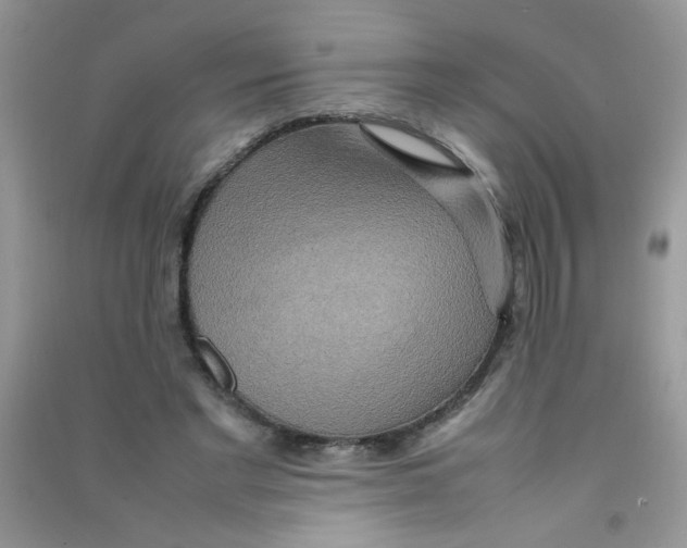 X0000090620493200708141416