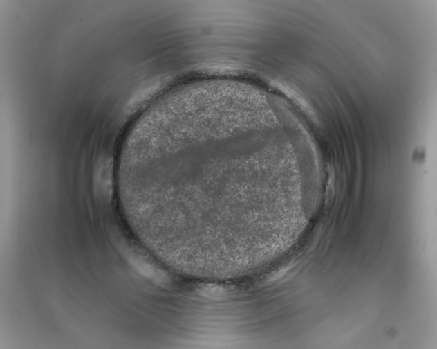 X0000090620494200708141416