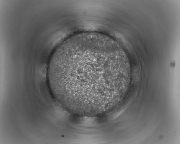 X0000090620495200708141416