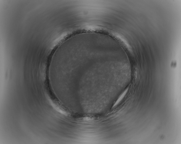 X0000090620496200708141416