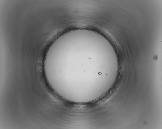 X0000090620497200708141416