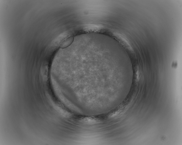 X0000090620498200708141416