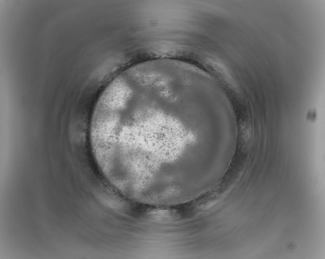 X0000090620499200708141416