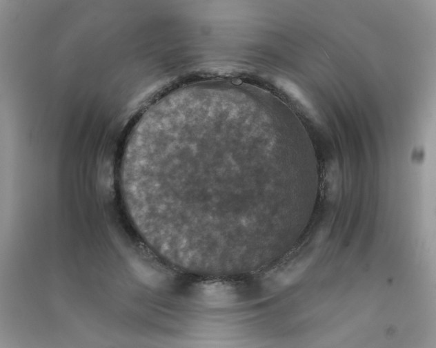 X0000090620500200708141416