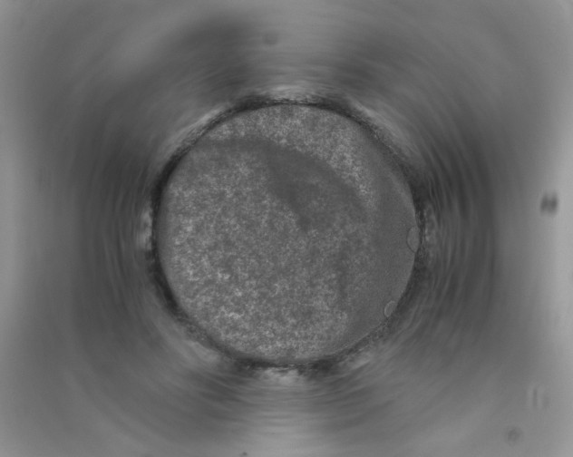 X0000090620502200708141416