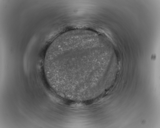 X0000090620503200708141416