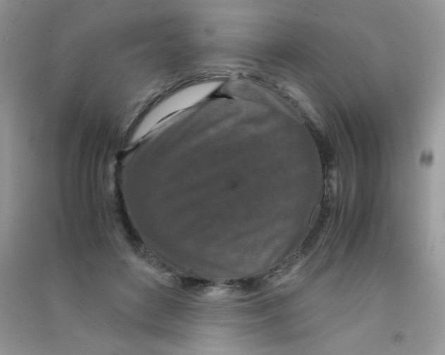 X0000090620504200708141416